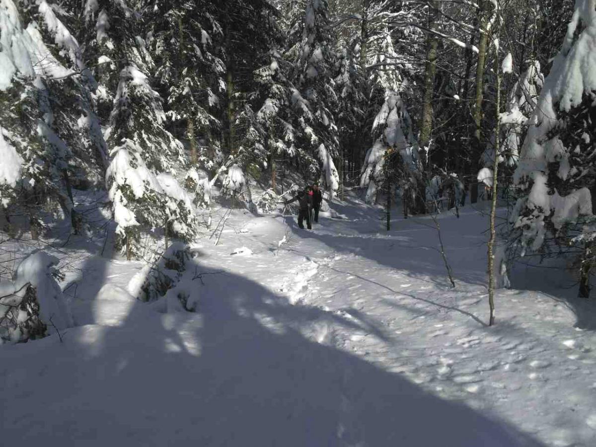 image-0-02-05-a2f7740dda4933b1477bb10c0ec28026ac3416cc4ee68d97bfc9a2bda5124345-V