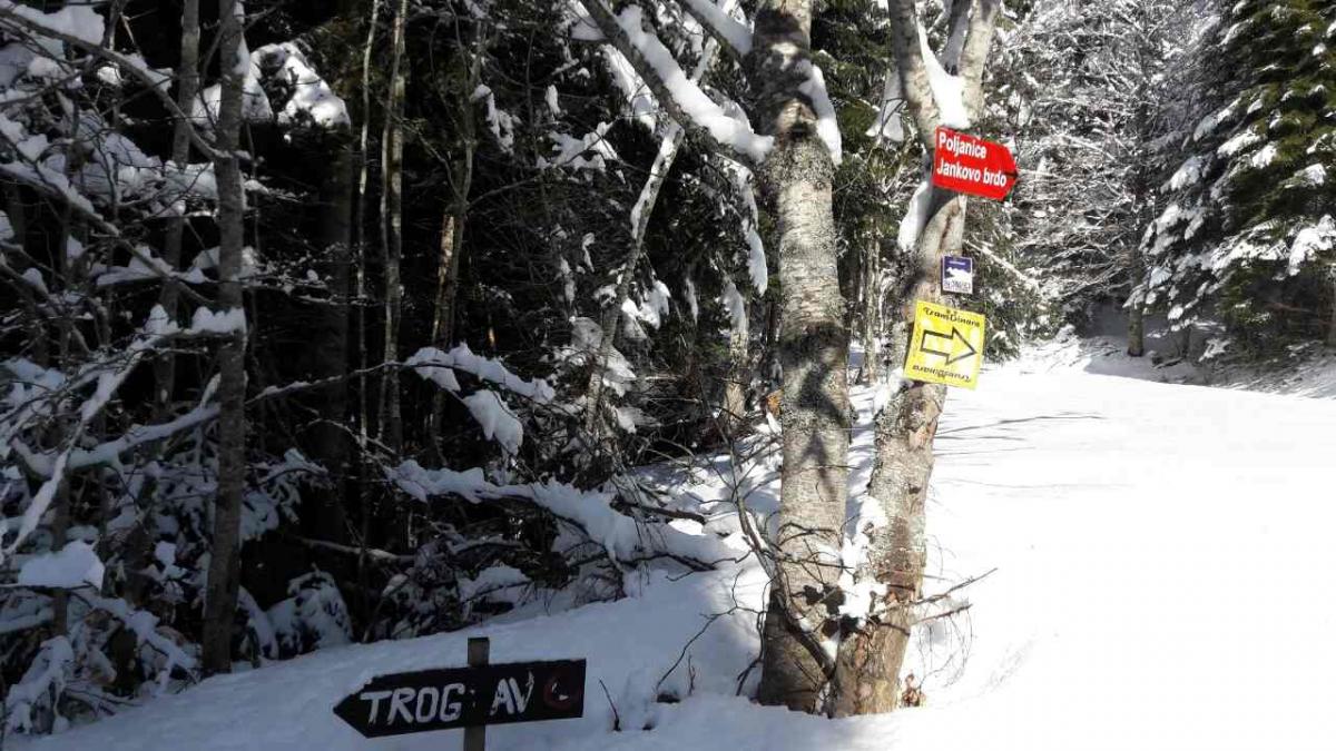 image-0-02-05-aff9ee3fb2a3c1058e5933cdce542f2785e7d80df0dd9b82683a733c02c29cea-V