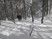 IMG_20170219_113208 Large