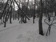 IMG_20170219_150541 Large