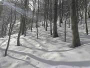 image-0-02-05-6e39d705f1624e974f064ed16f27677614dd4456d422c7a12539f571b0fe9b5b-V