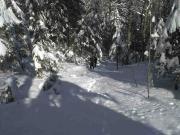 image-0-02-05-a2f7740dda4933b1477bb10c0ec28026ac3416cc4ee68d97bfc9a2bda5124345-V