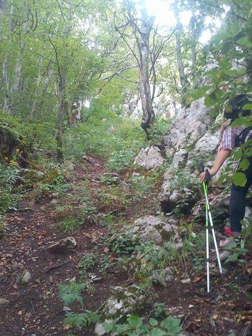 14269802_10208507169731383_317334513_n_2