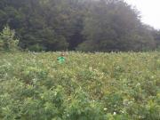 14269429_10208507169571379_2145642103_n1