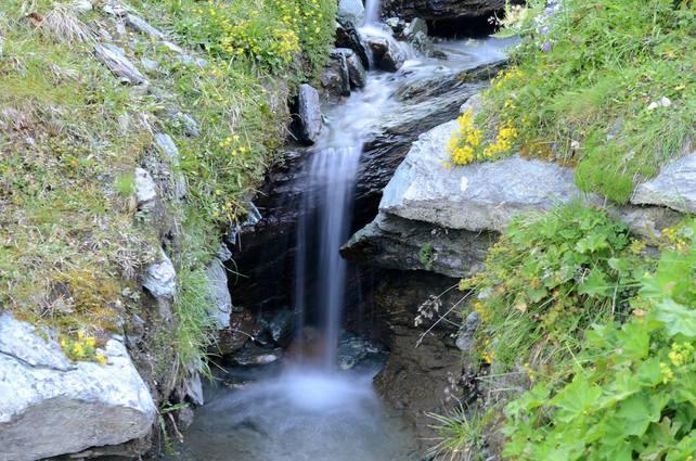 14114827_1772696099665882_1001570903056180011_o