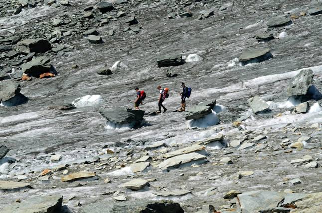 14114930_1772706109664881_8489816668232526408_o