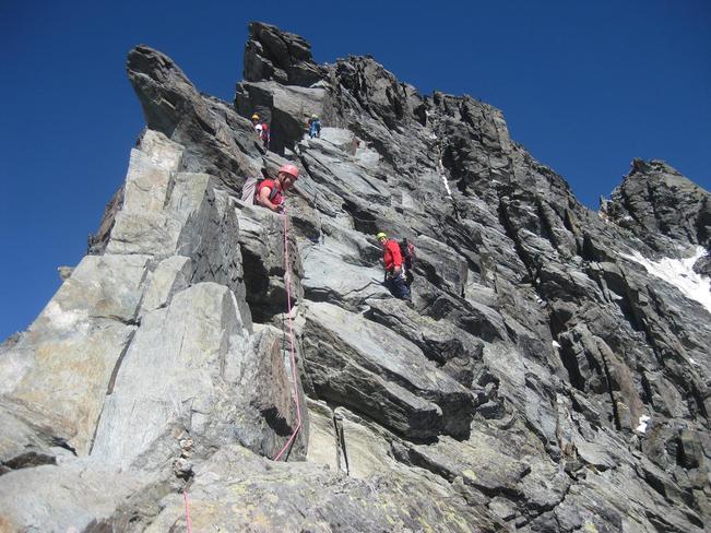 14138092_1772976562971169_1933699659465434523_o