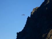 14115486_1772985382970287_2942795133491448242_o