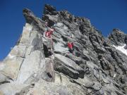 14138092_1772976562971169_1933699659465434523_o