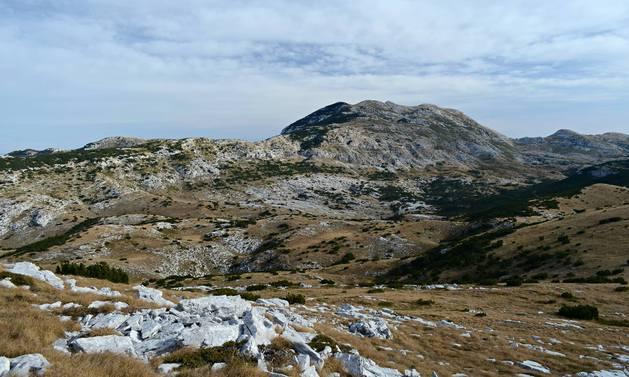 14315961_1777486135853545_1860001008_o