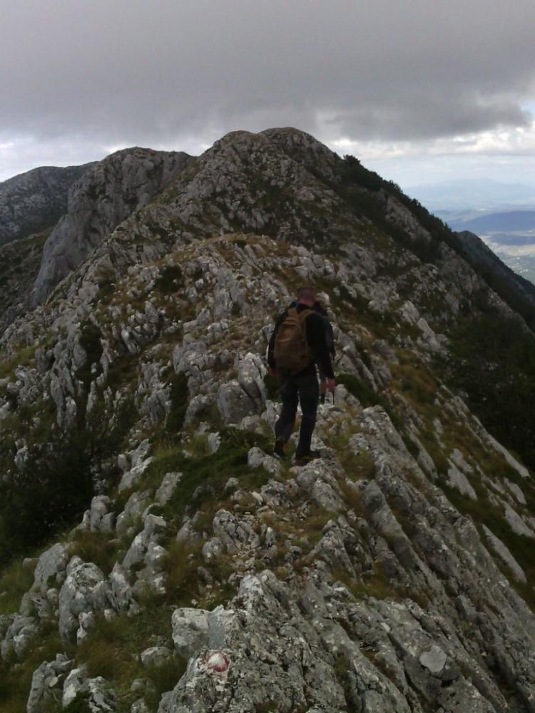 IMG-20160719-WA0003_2