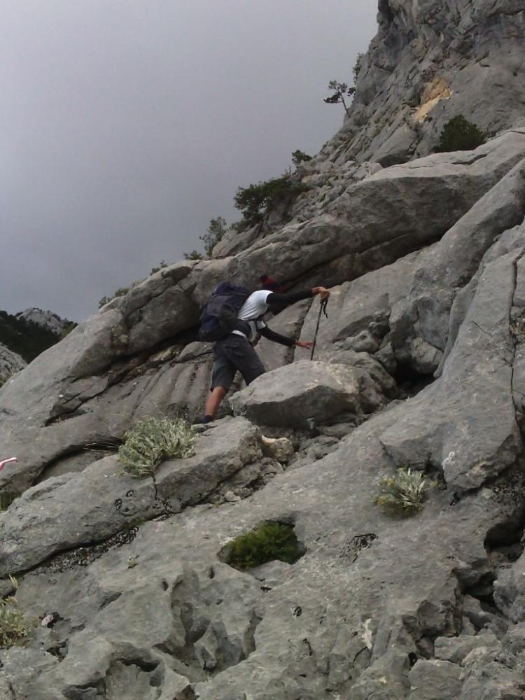 IMG-20160719-WA00072