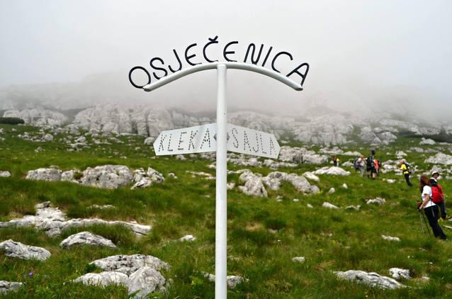 13483315_10208464513923485_8920170995311568106_o