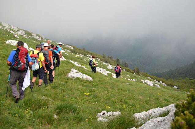 13490649_10208464599685629_2393898447408183312_o