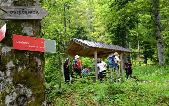 13495477_10208464442161691_3472881000393577024_o