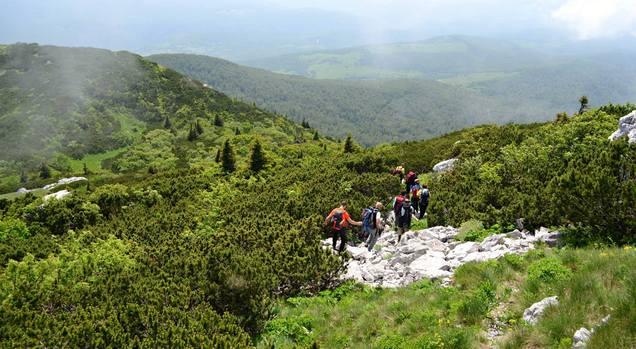 13495479_10208464580405147_4275573013371021752_o