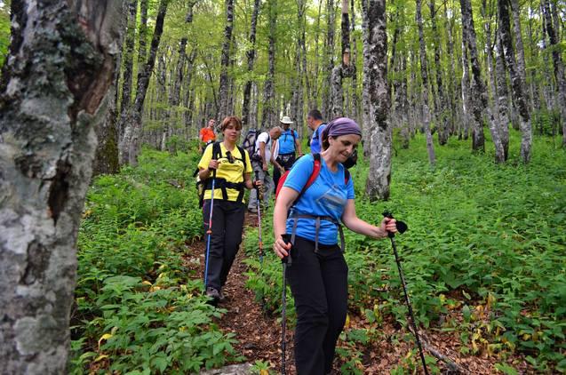 13528267_10208464600205642_67476570551492223_o