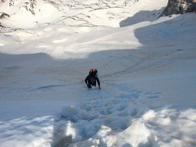 12935271_10206146165868454_1996837877_n