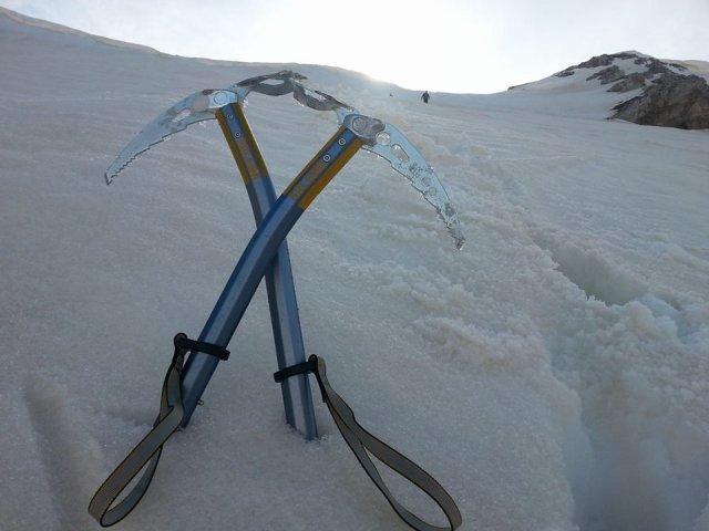 12939152_10206146166028458_1737893995_n