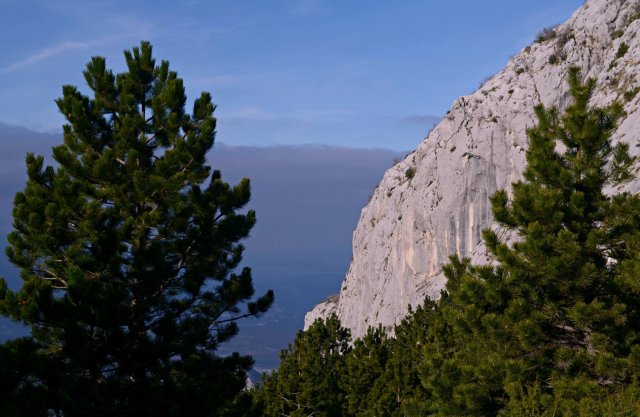 5a0