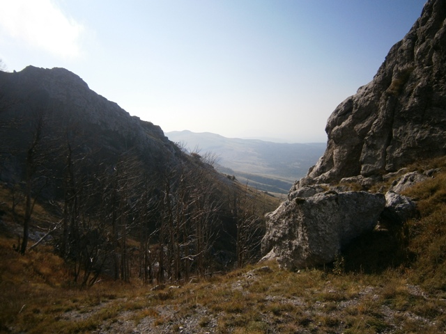 PA051237
