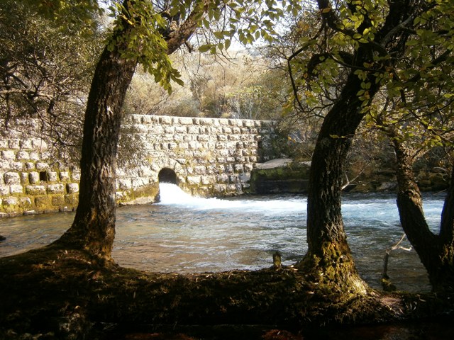 PA051309