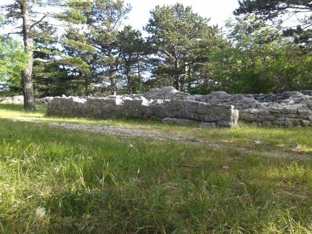 10291214_10202266044037294_6464680662764289006_n