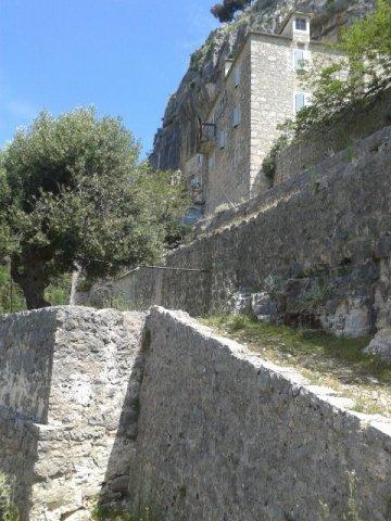 10338331_10202268222371751_9202202229921906336_n