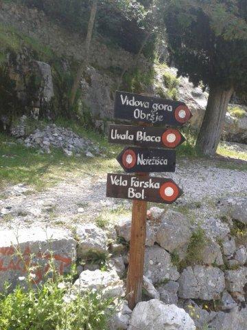 10348540_10202268228931915_5460402117495583169_n