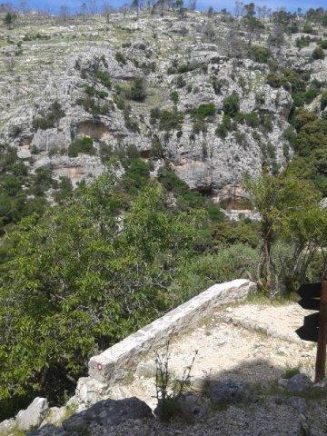 10367133_10202268231451978_6576618262524570109_n