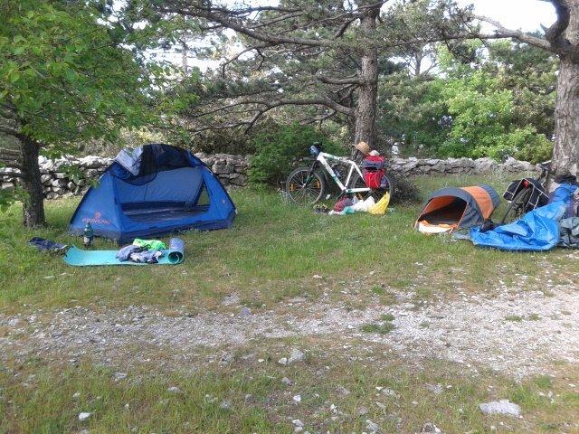 10371646_10202268179850688_8981781739068791746_n