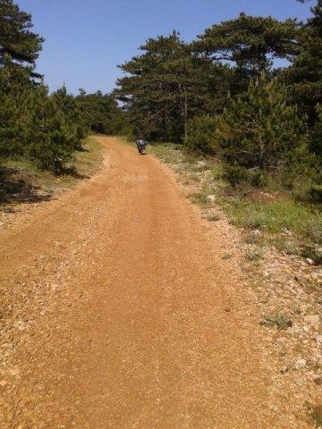 10390545_10202268215651583_4112313946933745832_n