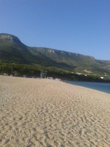 1513731_10202268237252123_6457728577239656721_n