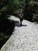 10357119_10202268218611657_4205798376612226192_n