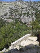 10367133_10202268231451978_6576618262524570109_n