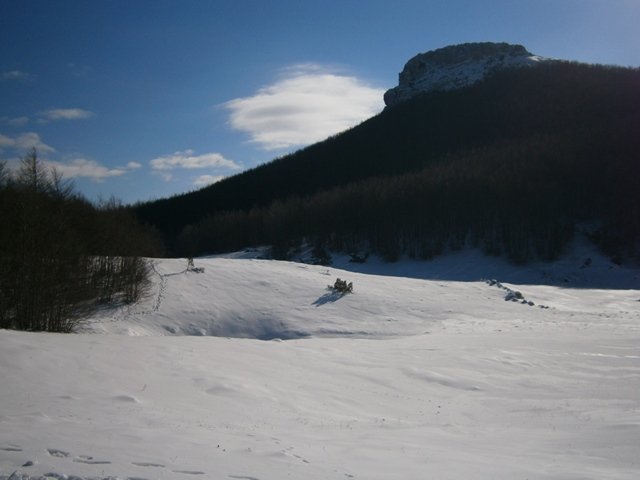 PC080044