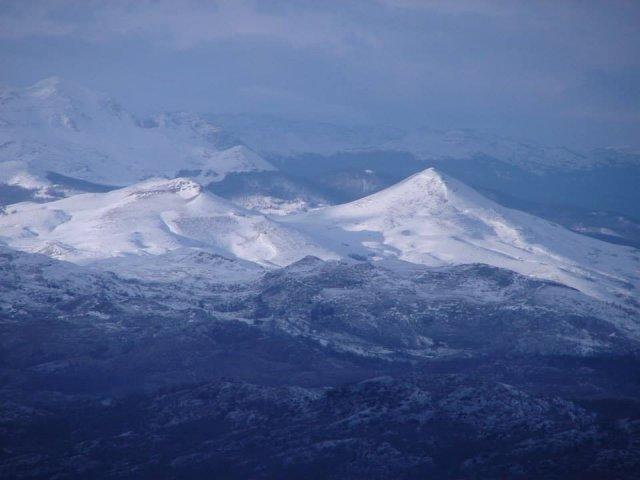 1426501_10151847684677582_126651740_n