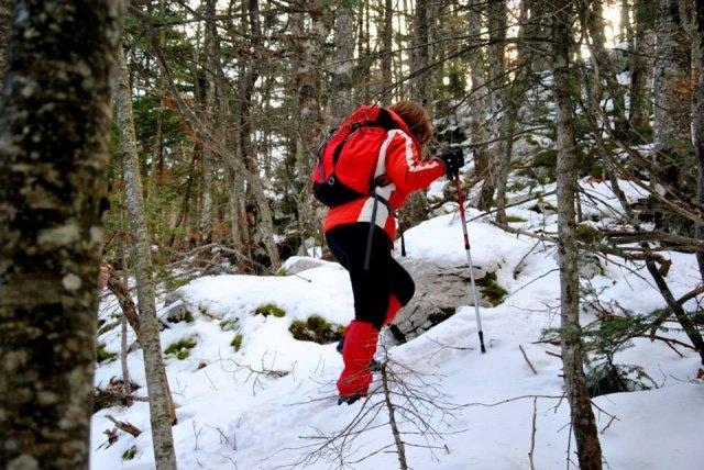 1455157_651227811601390_1495949586_n