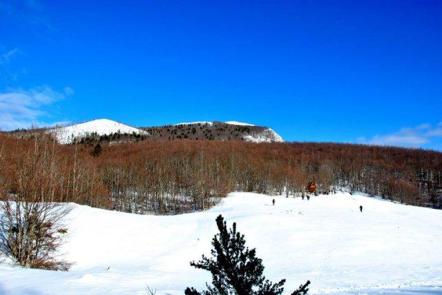 1464761_651230681601103_585449821_n