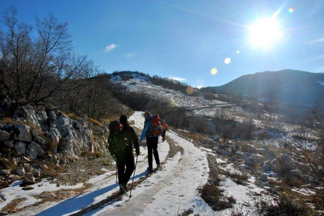 1472087_651226438268194_29475874_n