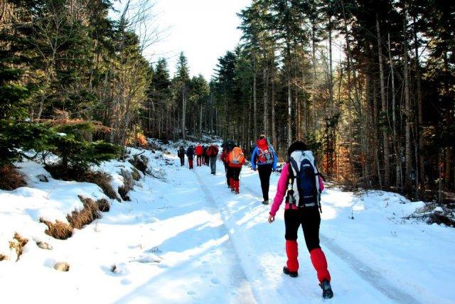 1479466_651226881601483_483670827_n