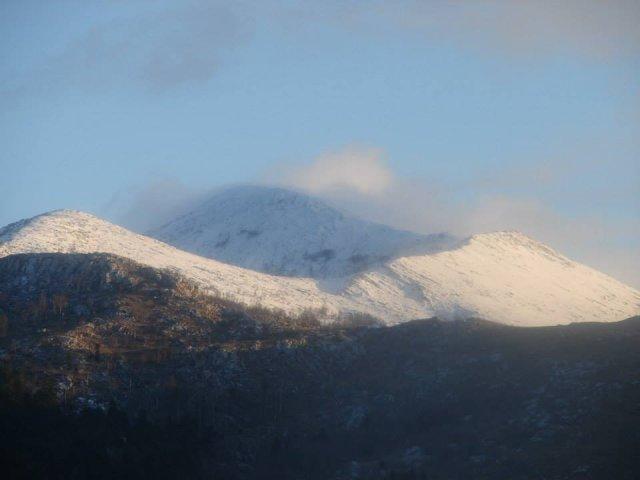 1501758_10151847684697582_916709208_n