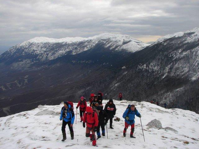 529464_10151847683822582_839037586_n