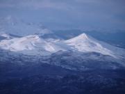 1426501_10151847684677582_126651740_n