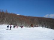 1477457_10151847683202582_505440033_n