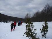 1486736_10151847683537582_307111624_n