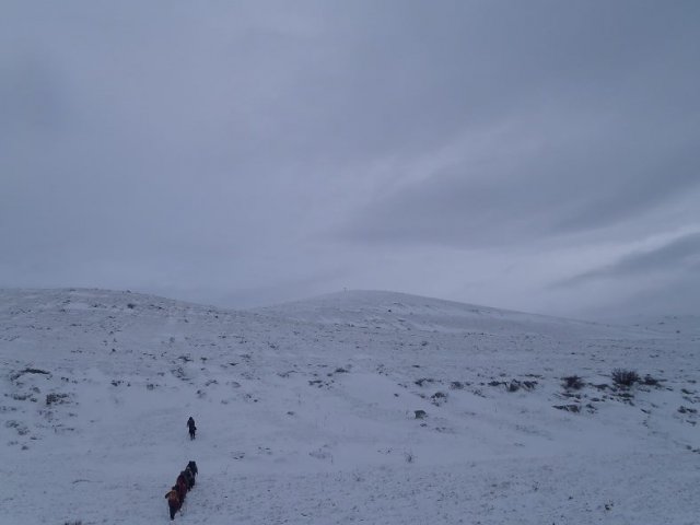 1425697_10201411148773489_493754715_n