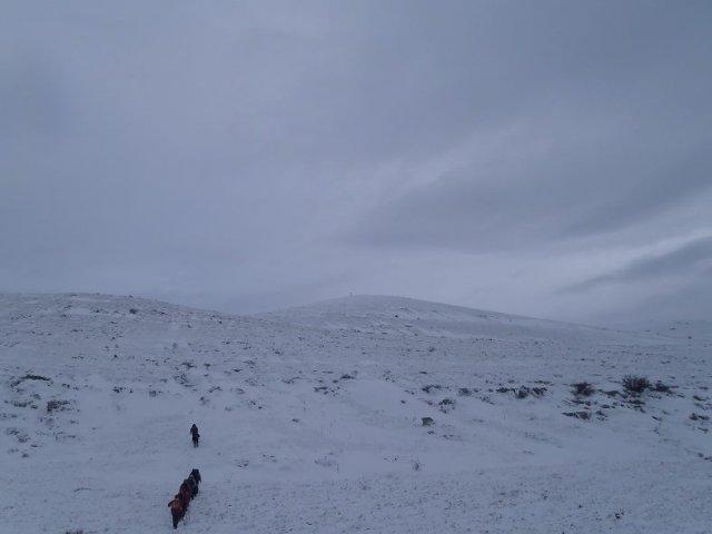 1425697_10201411148773489_493754715_n