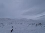 1425697_10201411148773489_493754715_n