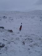 1426320_10201411148293477_869633519_n